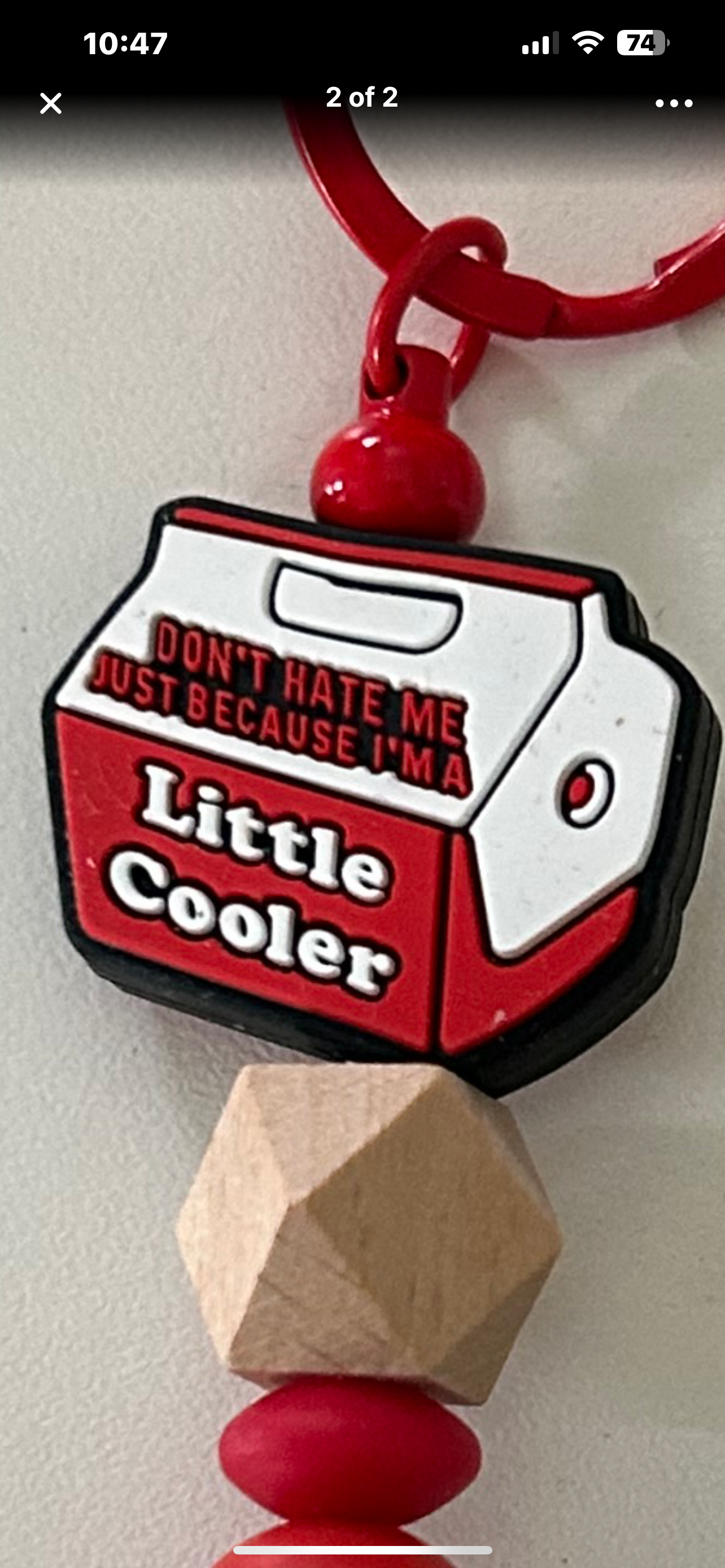 Keychain-Don’t Hate Me Just Because I’m a Little Cooler