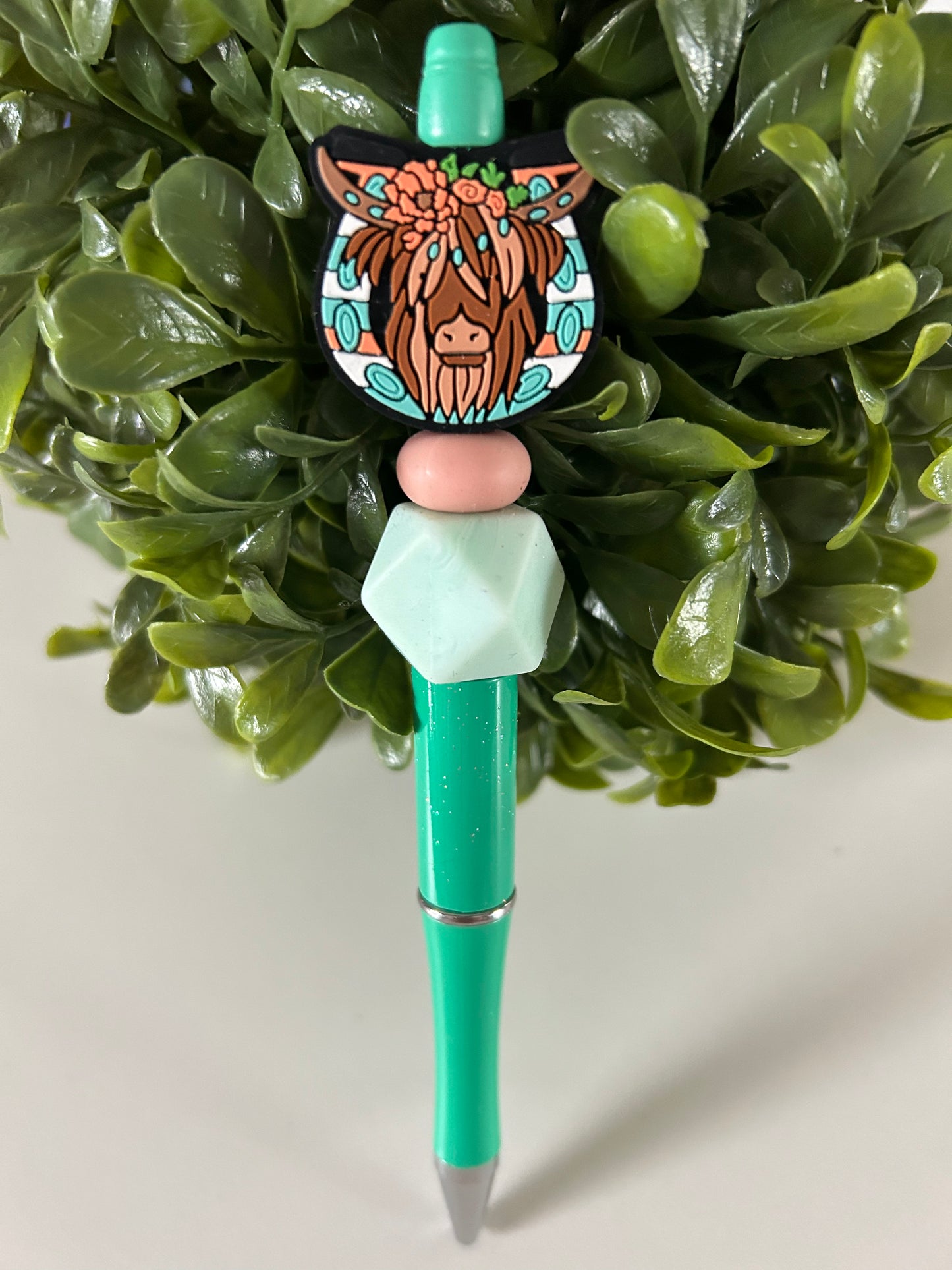 Pen-Focal Highland Cow